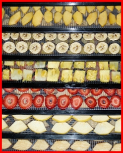 Dehydrating Food - Fruit, Vegetables, and.