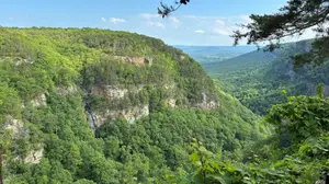 View of Cloudland Canyon.