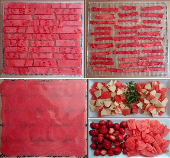 Dehydrating Watermelon & Watermelon Fruit Leather