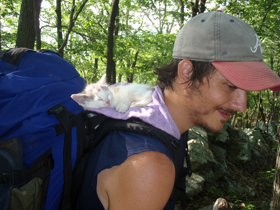 Appalachian Trail Virginia, Yogi the Thru-hiking kitten.
