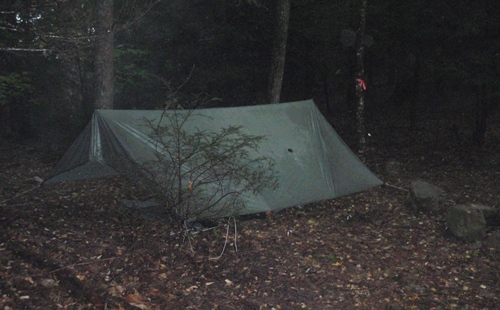 Tarp set up in pine grove, morning after huge storm on the Appalachian Trail
