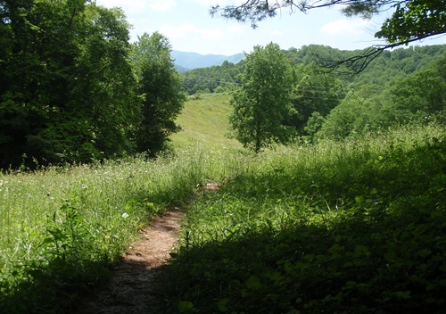 Appalachian Trail View near Jerry Cabin Shelter