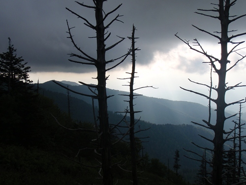 Dark Clouds over the Appalachian Trail near Standing Bear Farm.
