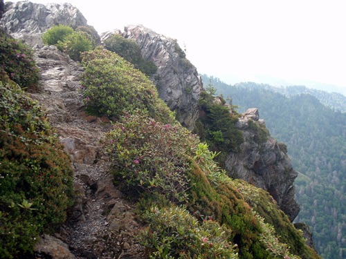 Ridge view from the Appalachian Trail, Great Smoky Mountains National Park