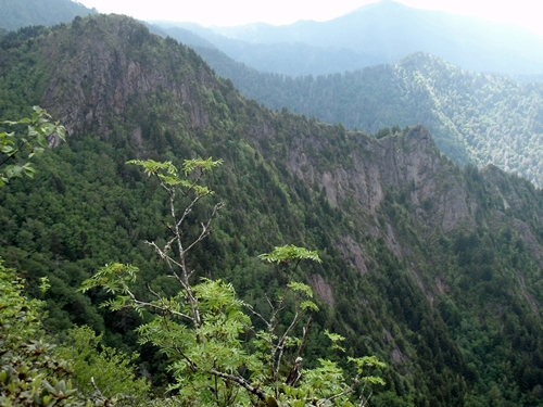 The Sawteeth and Charlies Bunion, Appalachian Trail, Great Smoky Mountains National Park