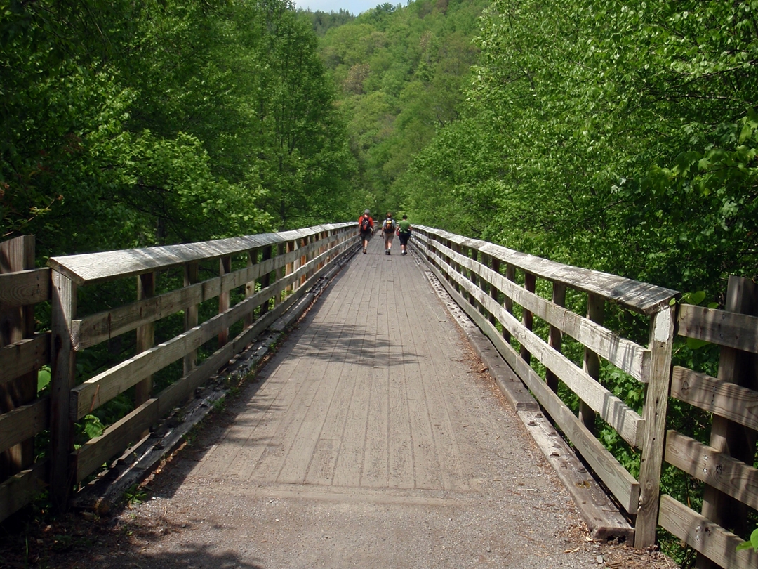 The Appalachian Trail and Virginia Creeper Trail share this bridge in Damascus, Virginia.