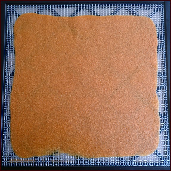 Dehydrated apricot-ginger fruit leather.