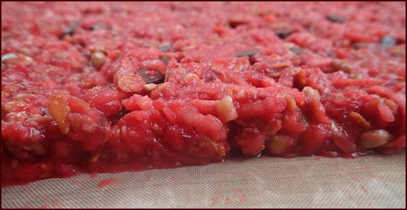 berry-chocolate-chip-granola-bars-dehydrator-tray