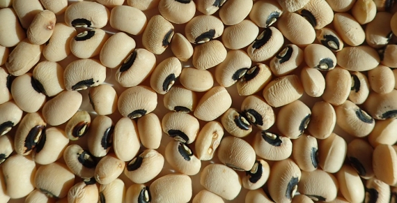 Black-eyed peas before cooking.
