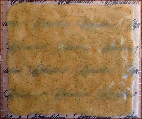 Cantaloupe fruit leather spread on nonstick sheet.