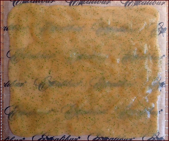 Cantaloupe fruit leather spread on nonstick sheet.