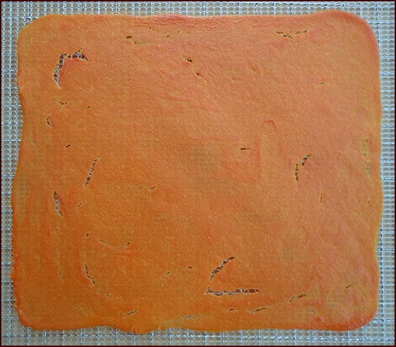 Carrot-cantaloupe fruit leather dehydrated.