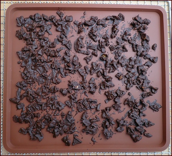 Chocolate covered orange pieces on silicone dehydrator tray.