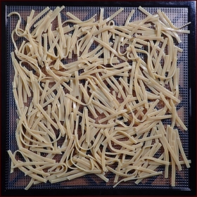 Cooked fettuccine noodles on Excalibur dehydrator tray. Cooked fettuccine noodles on Excalibur dehydrator tray.
