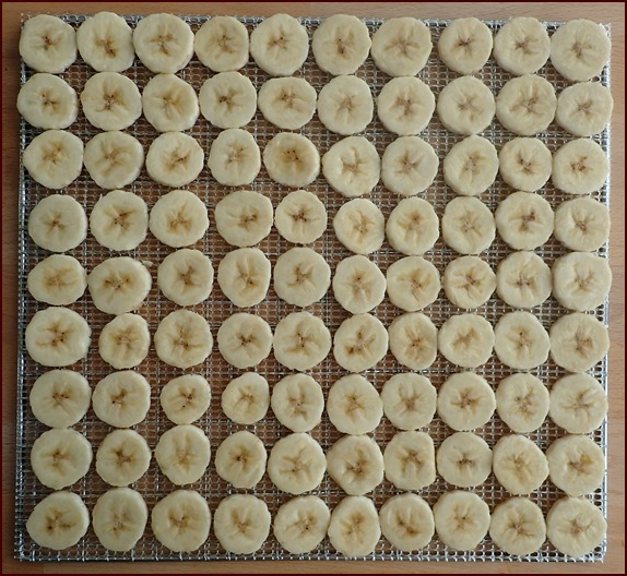 Cosori dehydrator with bananas on a larger flexible mesh sheet.