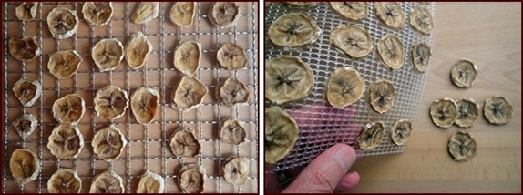 Cosori dehydrator: bananas wire tray vs flexible sheet.