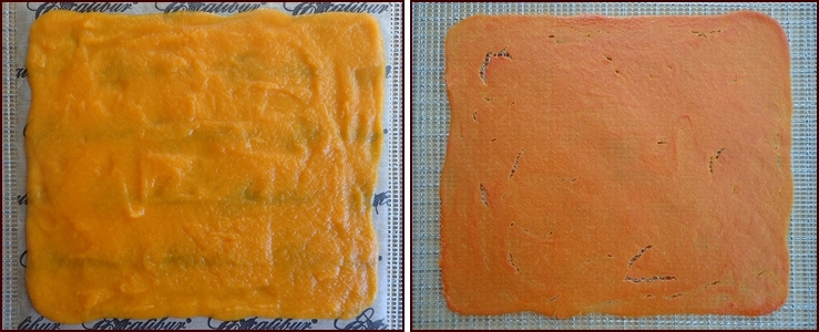 https://www.backpackingchef.com/images/cosori-dehydrator-carrot-cantaloupe-fruit-leather.jpg