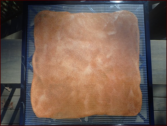 Dehydrated apple fruit leather.