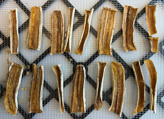 Dehydrated banana jerky. Dehydrated banana jerky.