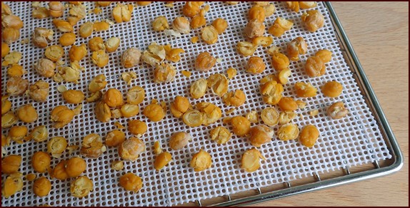 Dehydrated chickpeas.