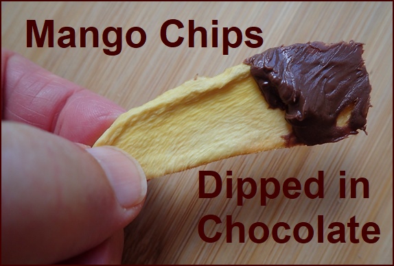 Dehydrated Mango Chip Dipped in Chocolate