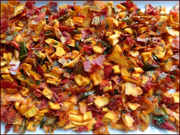 Photo above shows dehydrated mango salsa.