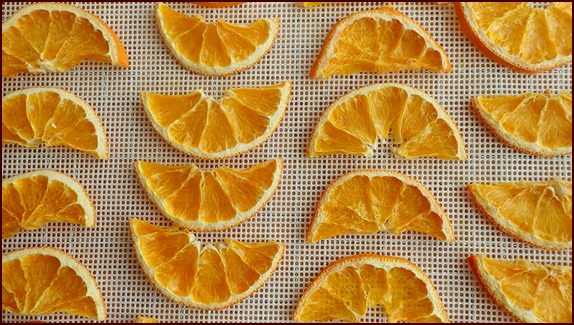 Dehydrated Orange Slices