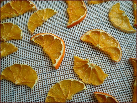 Dehydrated Oranges Half-slices.