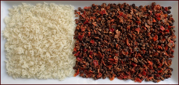 Dehydrated rice and lentils