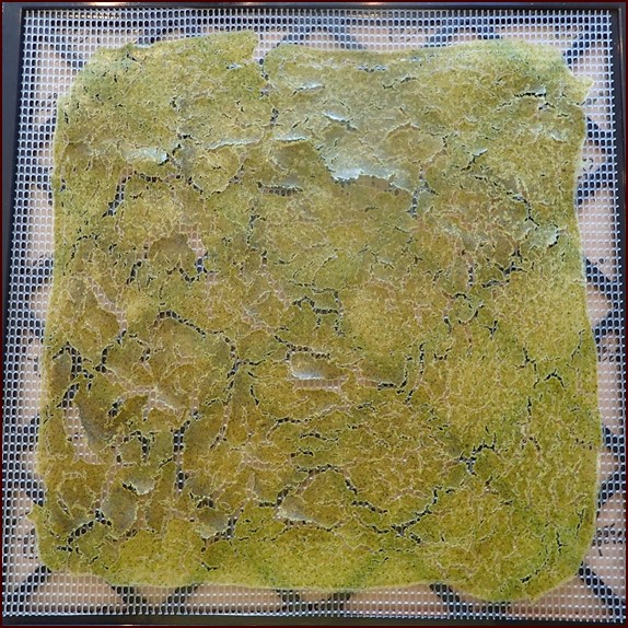 Dried potato-leek soup on dehydrator tray after nonstick sheet was removed.