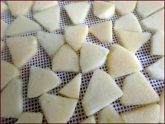 Dehydrating apples cut into slices on a silicone mesh dehydrator sheet.