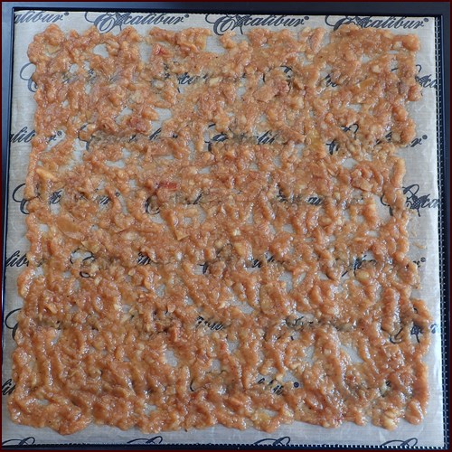 Mashed apple slurry on Excalibur dehydrator tray covered with nonstick sheet.