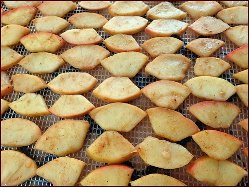 Sliced spiced apples on Excalibur dehydrator tray.