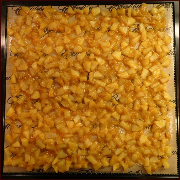 Cooked apricots and apples spread on one Excalibur Dehydrator tray.