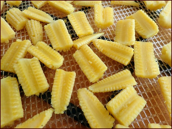 Dehydrating baby corn cut in half lengthwise and then across into smaller pieces.