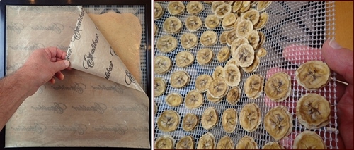 Dehydrating Bananas. Make banana fruit leather, banana chips, and deserts using dried bananas.