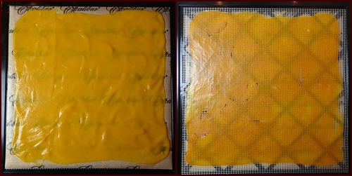 (l) Butternut squash soup spread thinly on Excalibur dehydrator tray. (r) Dried soup flipped over directly on mesh sheet.