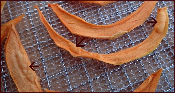 Air pockets in dried cantaloupe