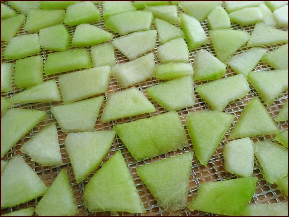 Galia cantaloupe cut into pieces on dehydrator tray.