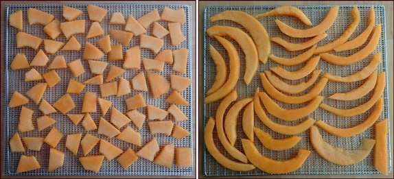 Cantaloupe cut into pieces or strips on dehydrator tray.