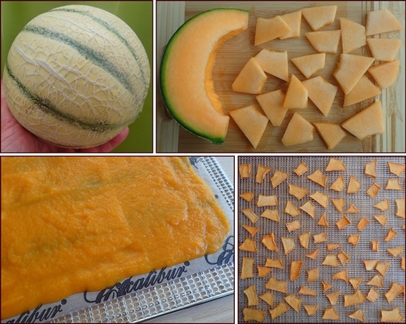 Dehydrating Cantaloupe & Cantaloupe Fruit Leather