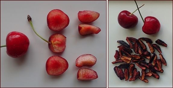 Dehydrating Fruit Guide from Backpacking Chef