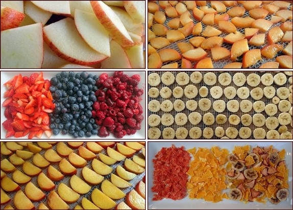 Dehydrating Fruit Guide from Backpacking Chef