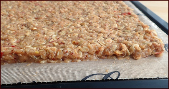 dehydrating-granola-bars