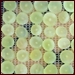 Dehydrating Grapes