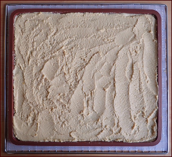 One cup of hummus on silicone dehydrator tray.