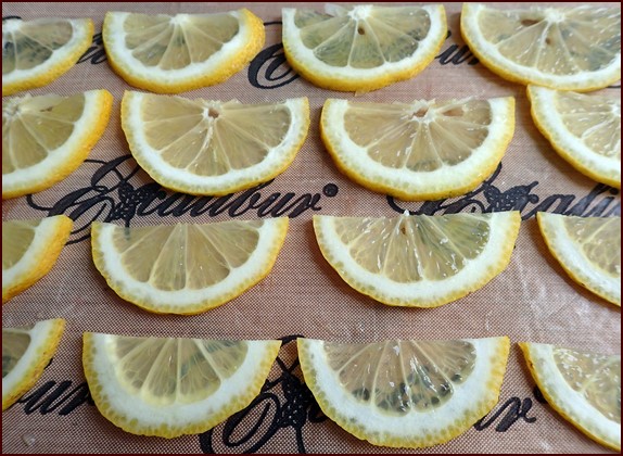 Lemon Slices, Dehydrated - 4 oz *NEW*