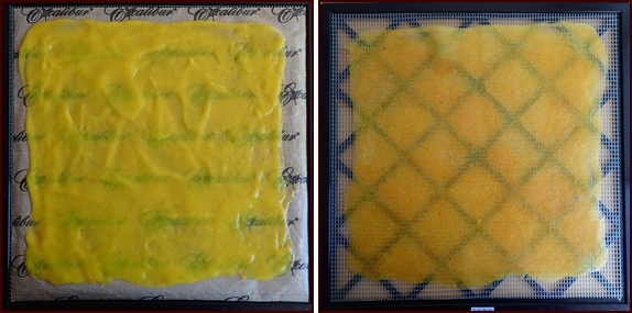 Photo shows mango fruit leather, before and after dehydrating.