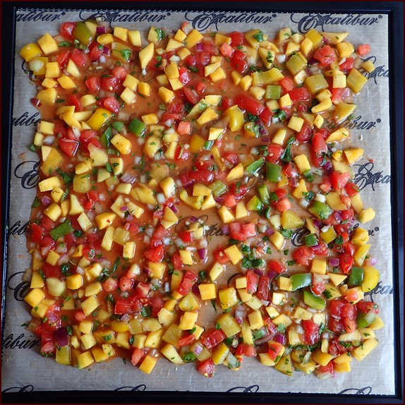 Mango salsa on Excalibur dehydrator tray.