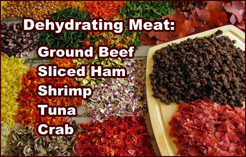 Dehydrating Meat Dehydrating Meat